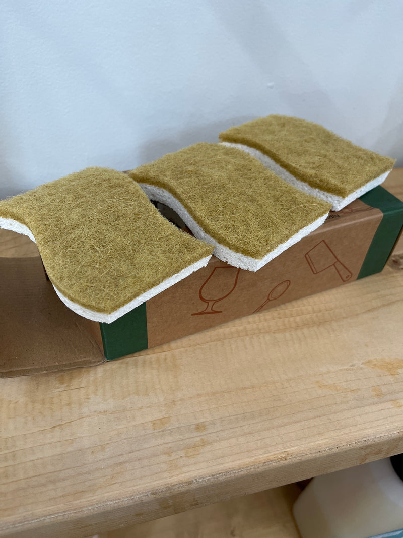 Biodegradable Sponge set 9 -Piece