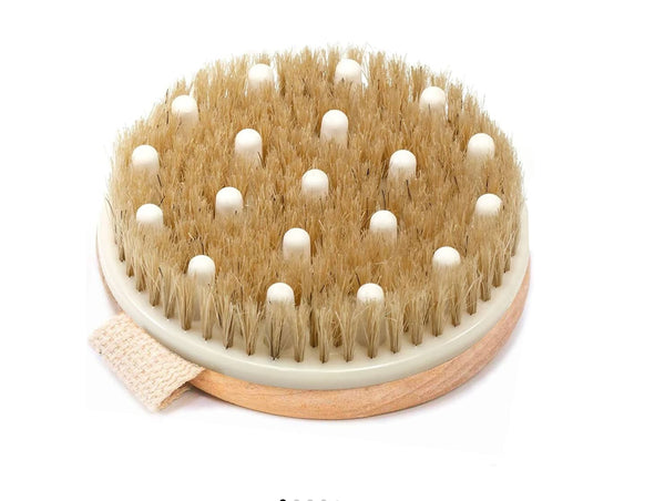 Lymphatic brush (circle)